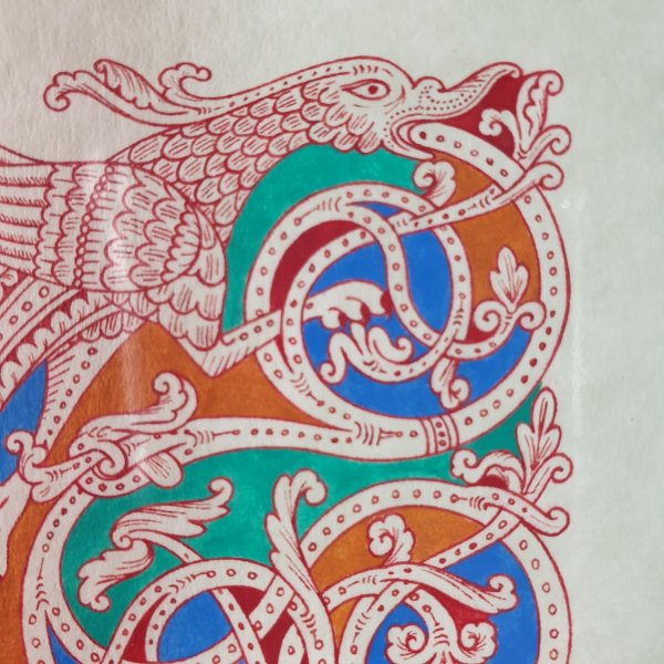 Lettera F miniata in stile romanico